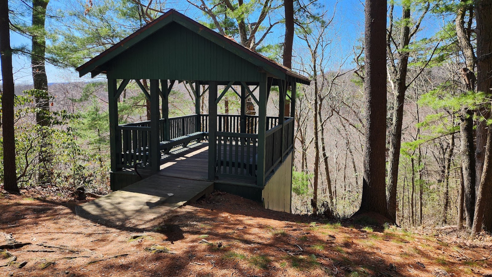 Sessions Woods Wildlife Management photo 4