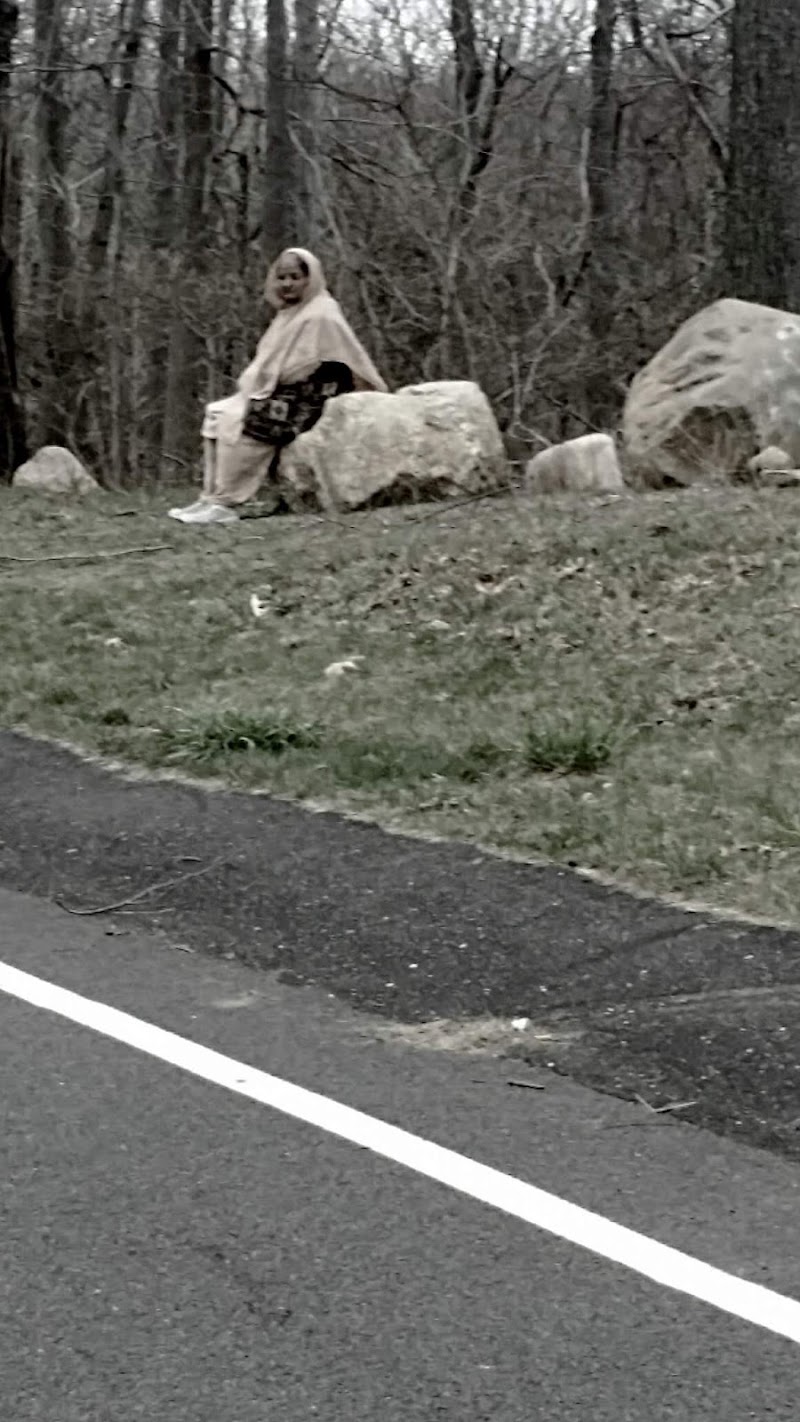 Setauket Greenway Trail Head photo 4