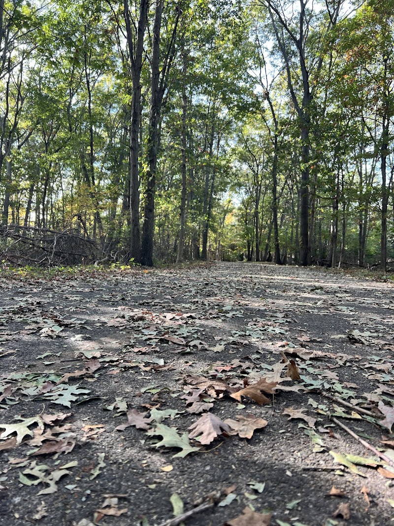 Setauket Greenway Trail photo 4