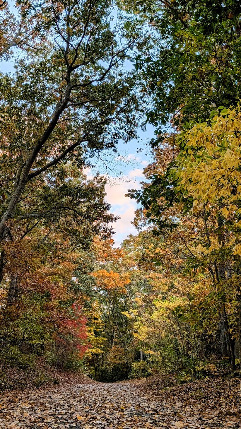 Setauket Greenway Trail photo 5