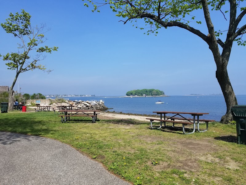 Shady Beach Park photo 3