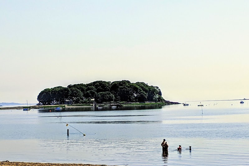 Shady Beach Park photo 5
