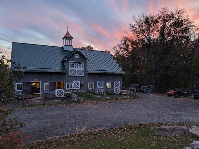 Shaggy Coos Farm & Creamery photo 2