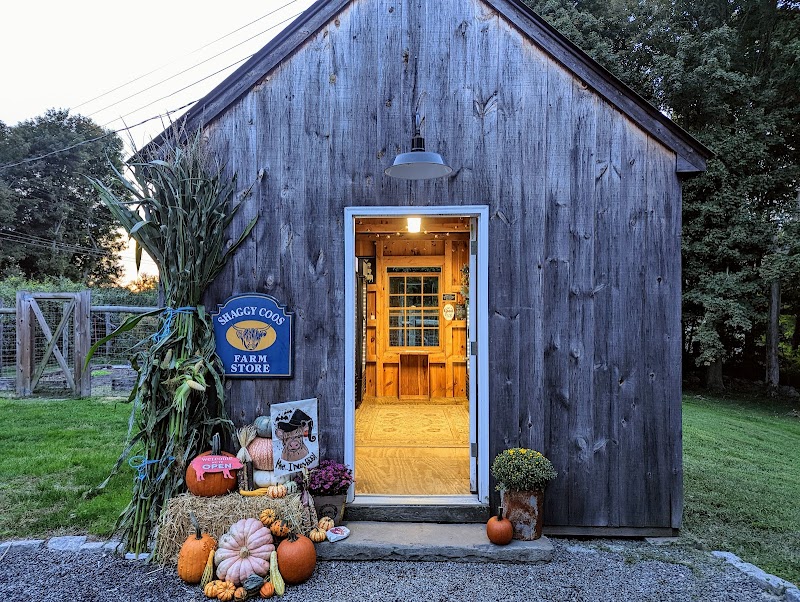 Shaggy Coos Farm & Creamery photo 5