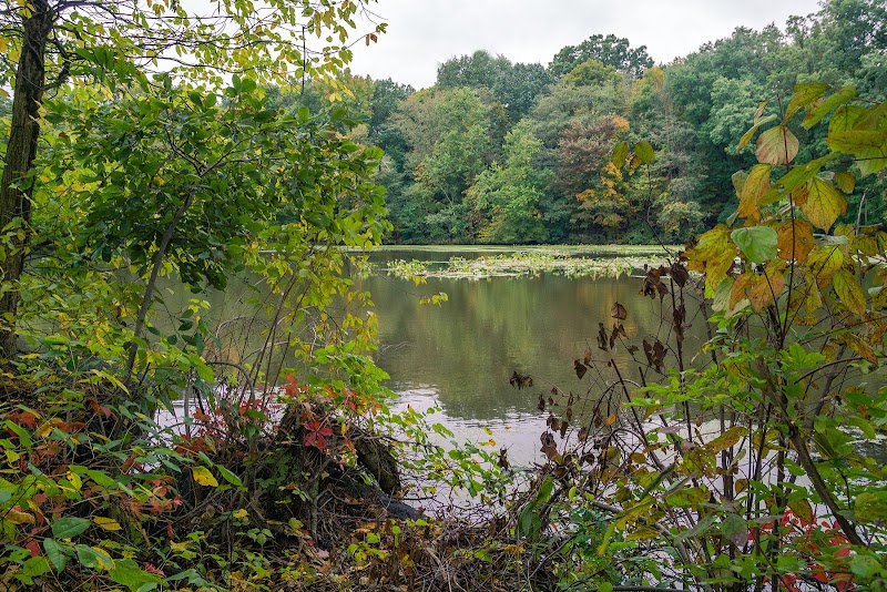Sheldrake Environmental Center photo 2