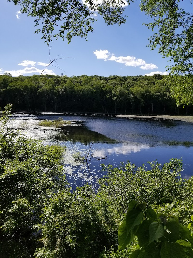 Shelton Dog Park photo 2