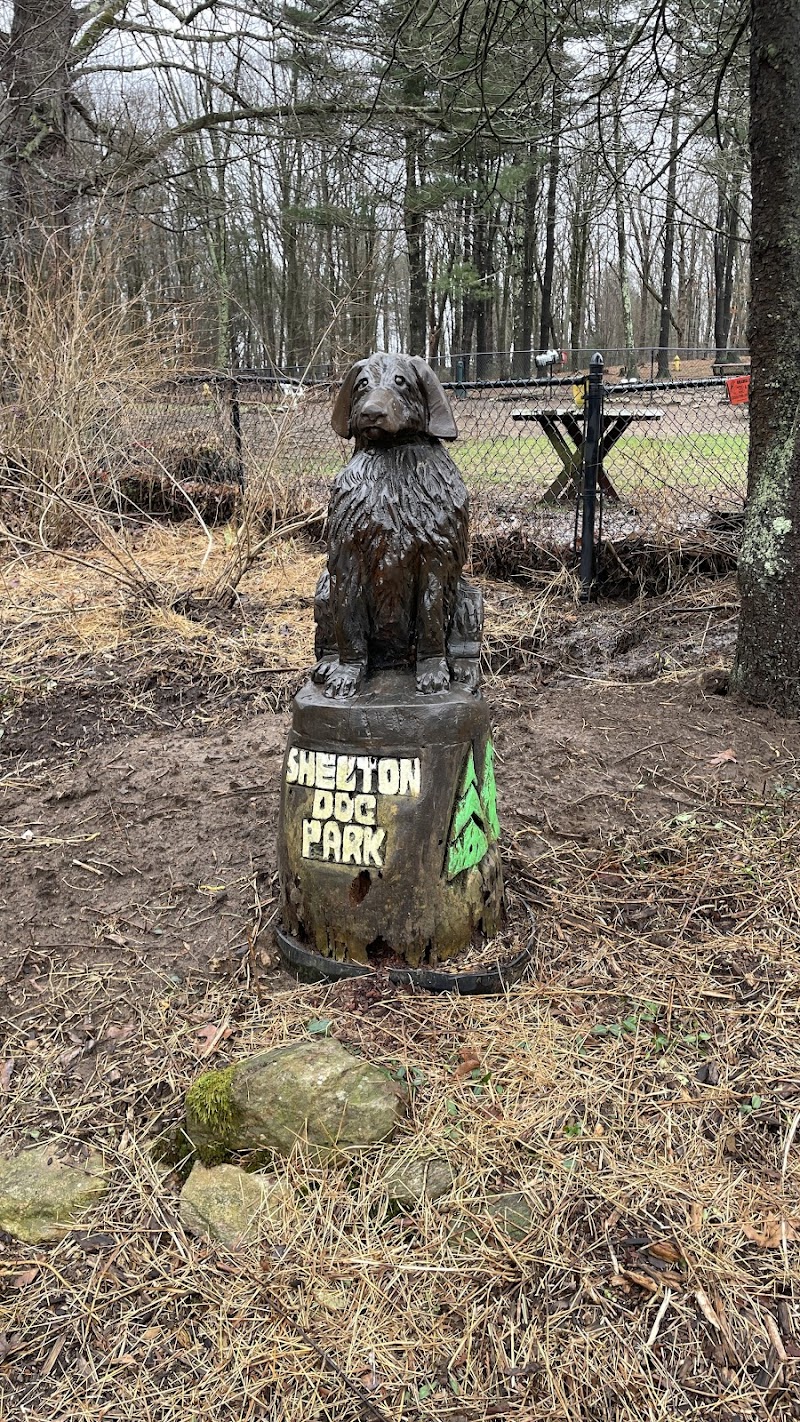 Shelton Dog Park photo 4