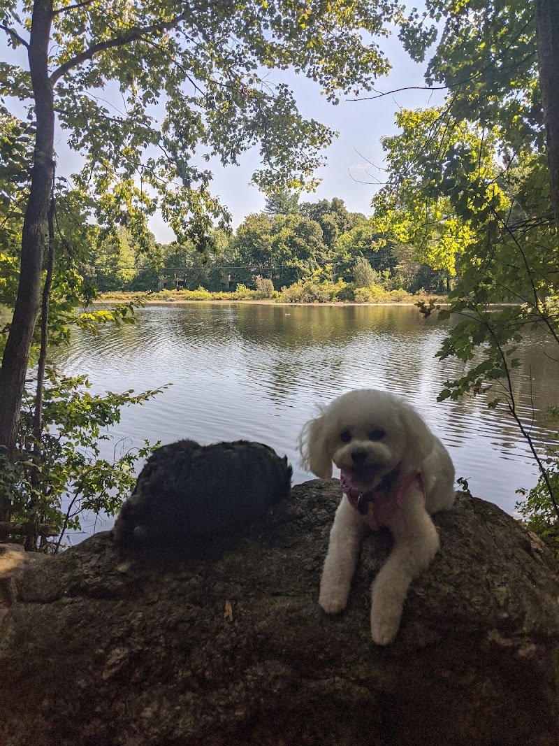Shelton Dog Park photo 5