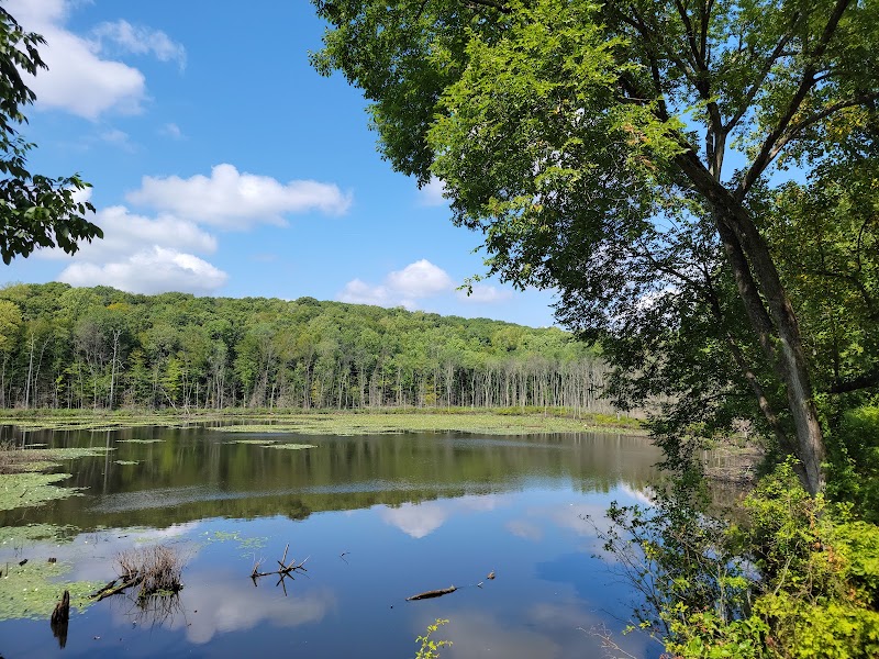 Shelton Lakes Recreation Path