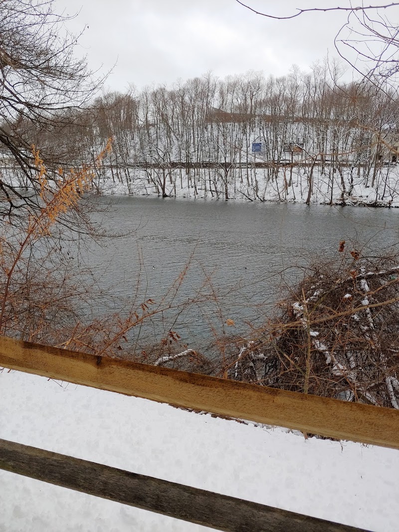 Shelton River Walk photo 4