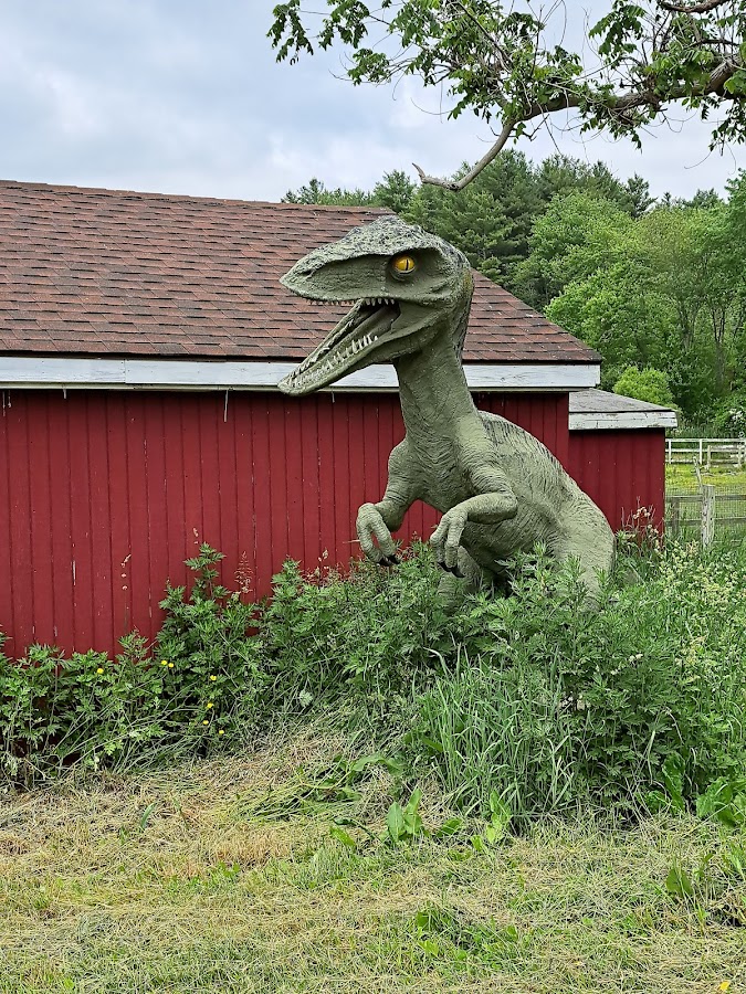 Sherwood Farm photo 4