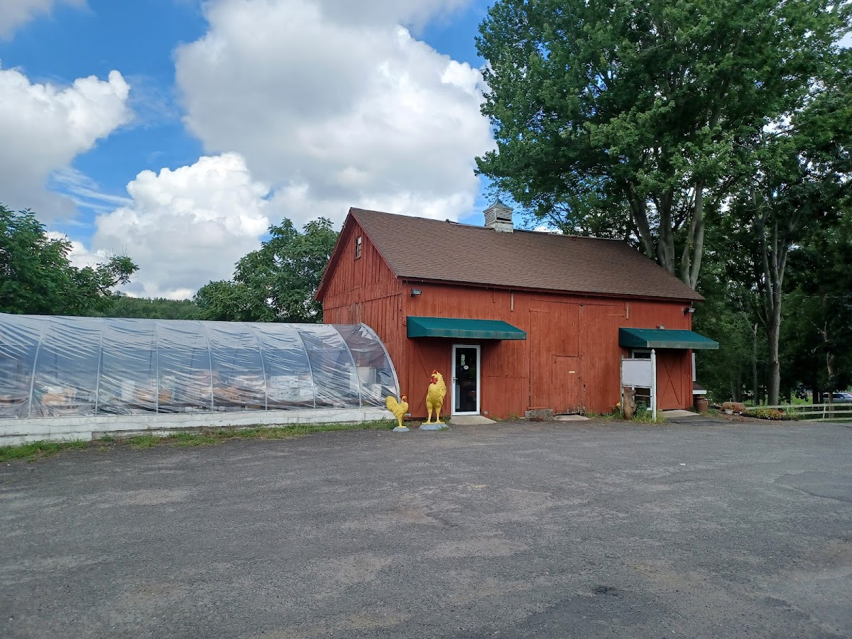 Sherwood Farm photo 5