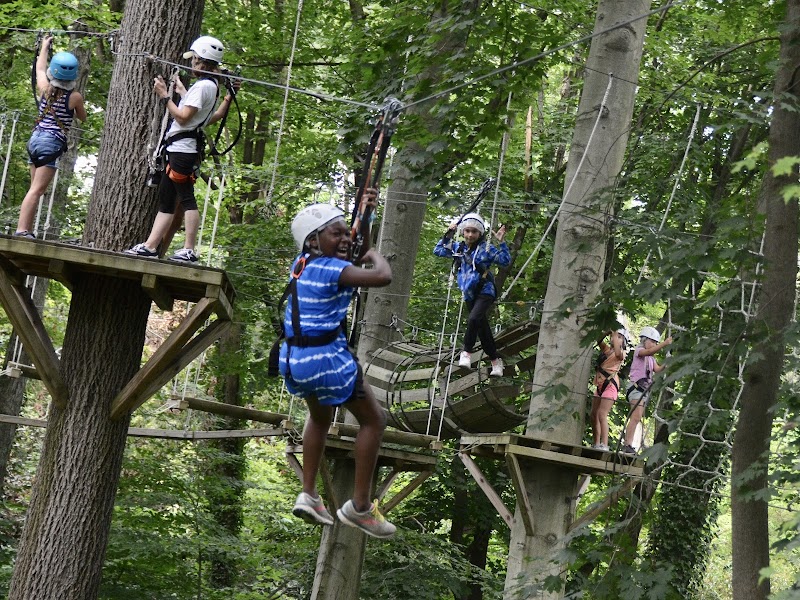 Shibley Day Camp photo 2