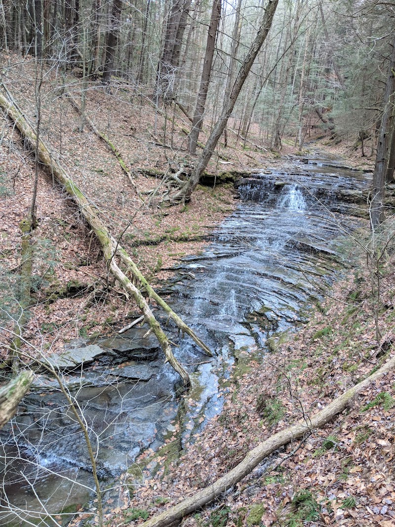 Shindagin Hollow State Forest photo 2