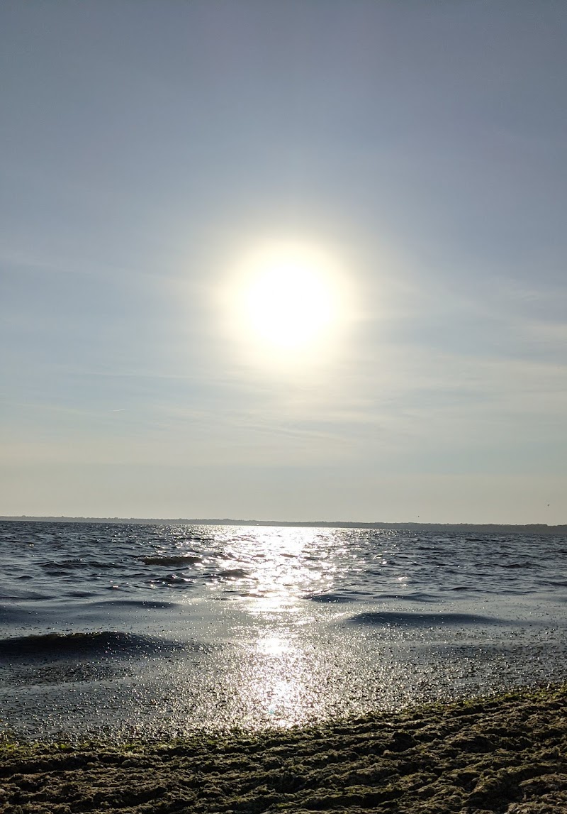 Shirley Beach photo 4