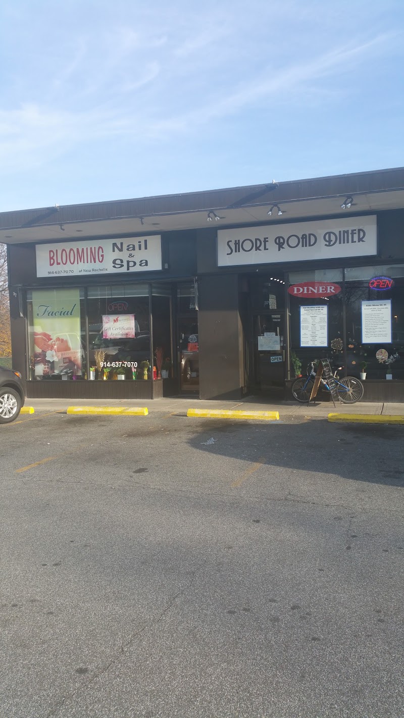 Shore Road Diner photo 1