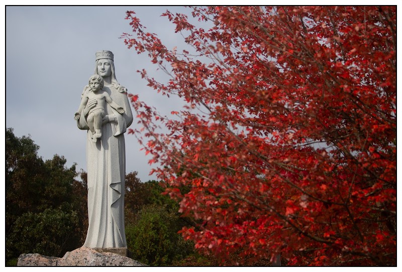 Shrine of Our Lady of the Island photo 1