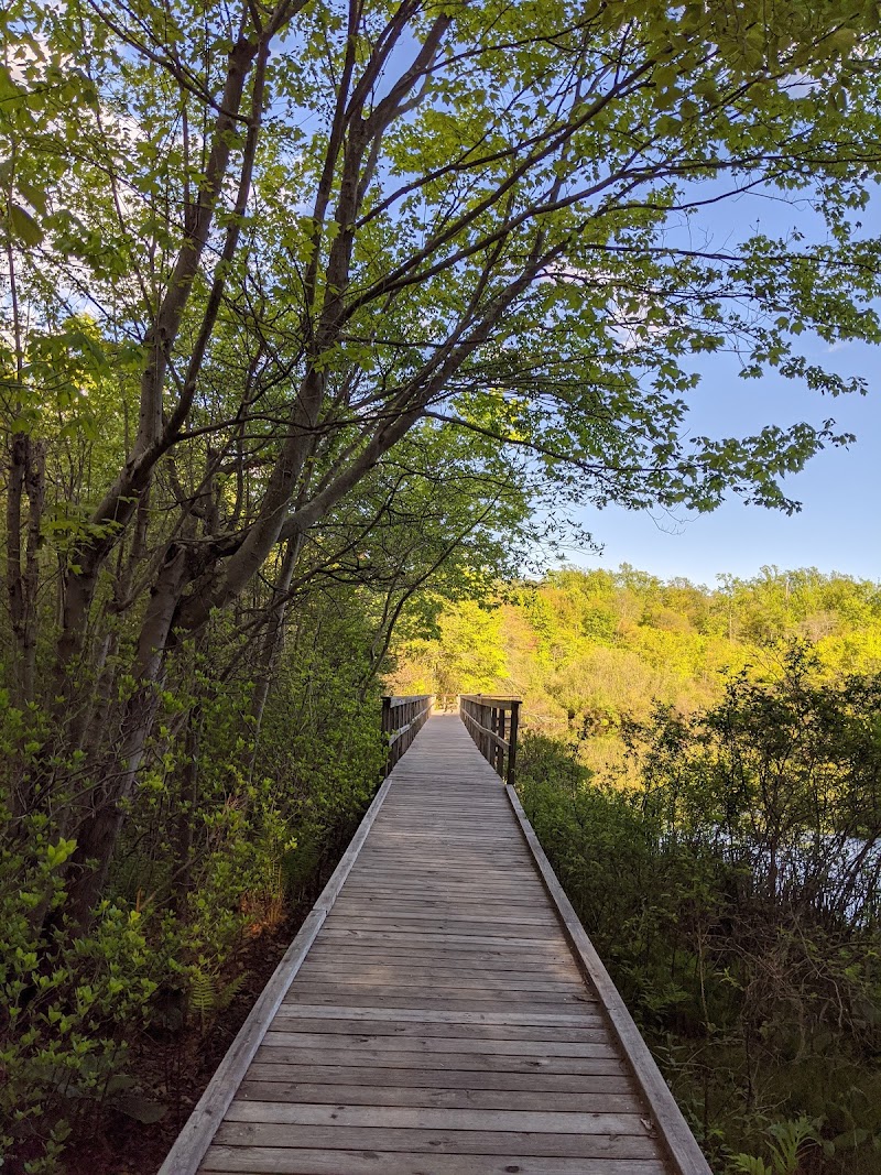 Shu Swamp Nature Preserve photo 2