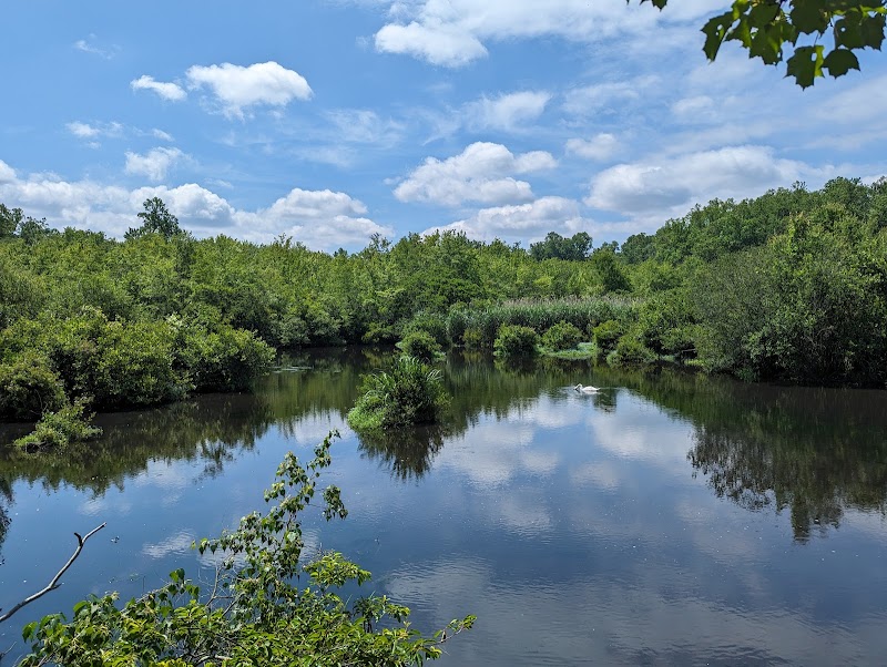 Shu Swamp Nature Preserve photo 3