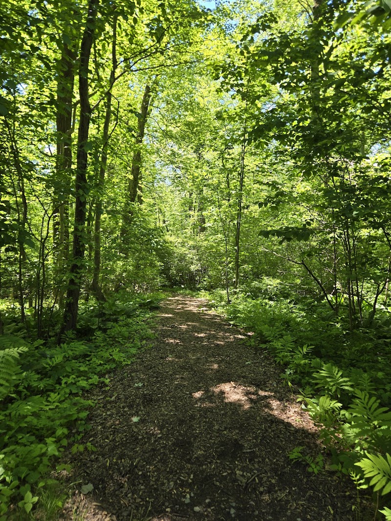 Shu Swamp Nature Preserve photo 4