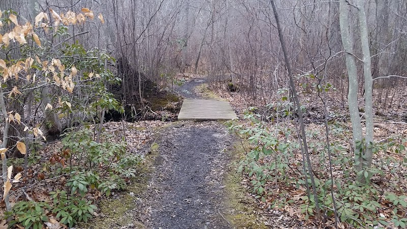 Shu Swamp Nature Preserve photo 5