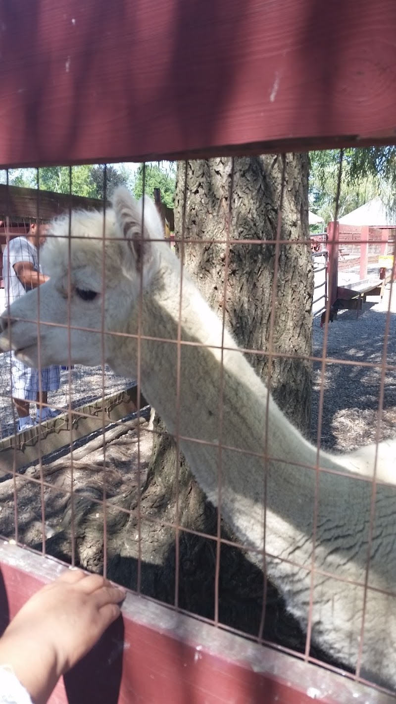 Silverman's Farm photo 3