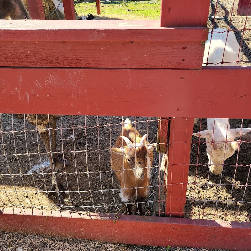 Silverman's Farm photo 4