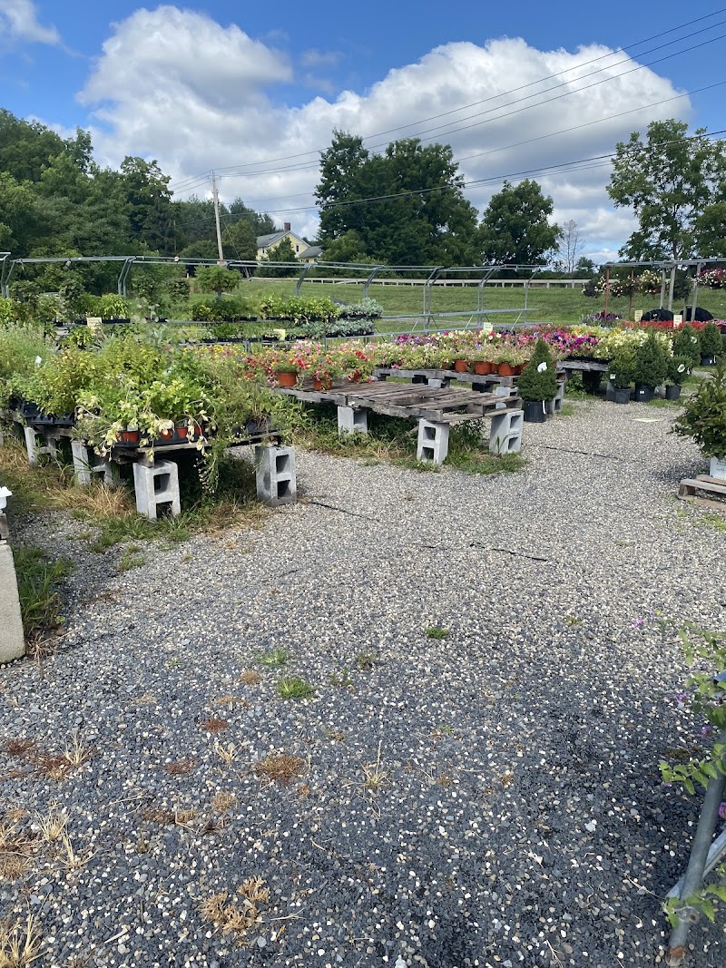 Sleepy Hills Orchard photo 2