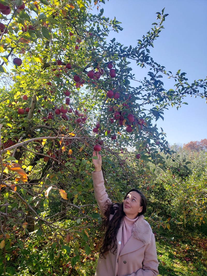 Sleepy Hills Orchard photo 3