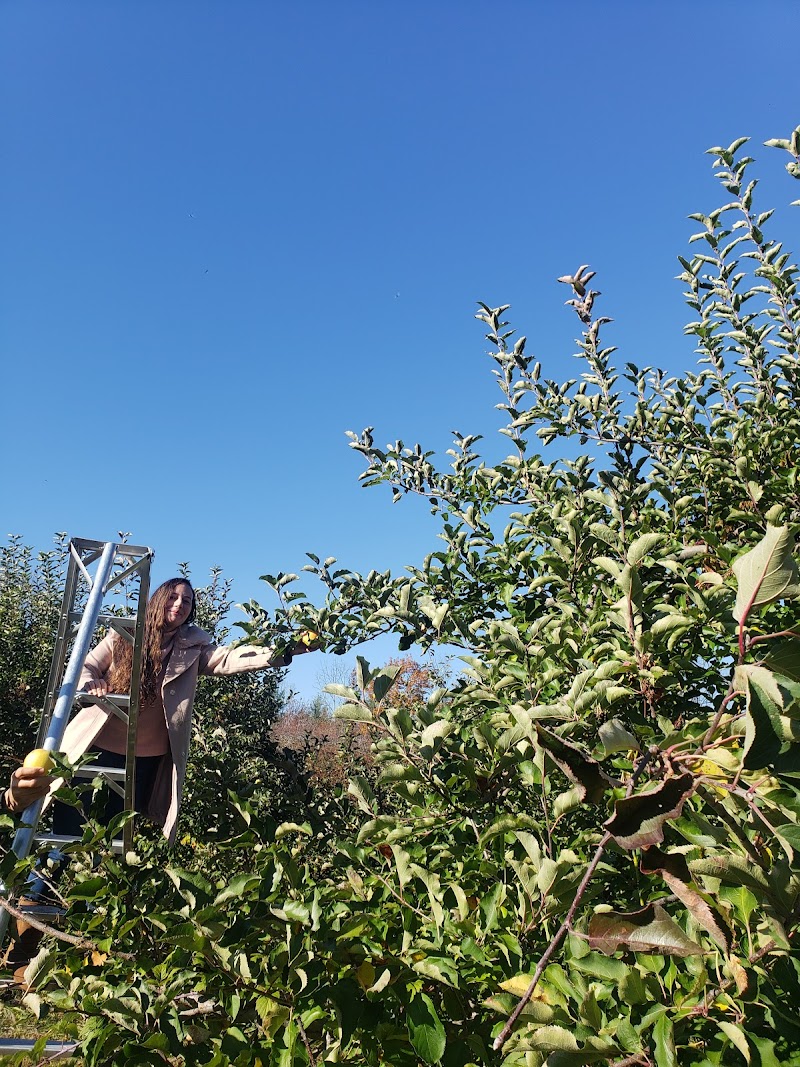 Sleepy Hills Orchard photo 4