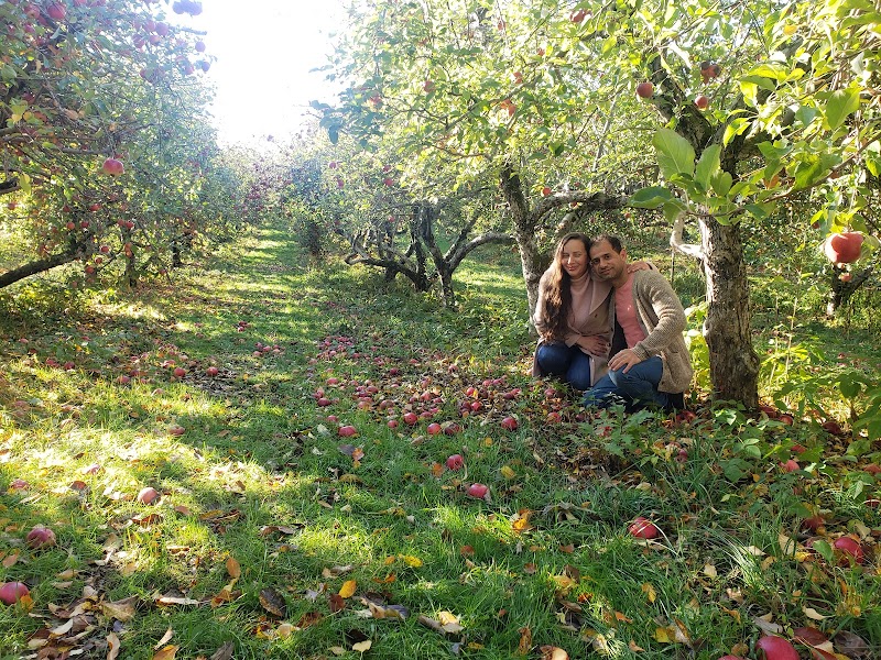 Sleepy Hills Orchard photo 5