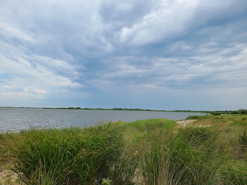 Smith Point Marina County Park photo 4