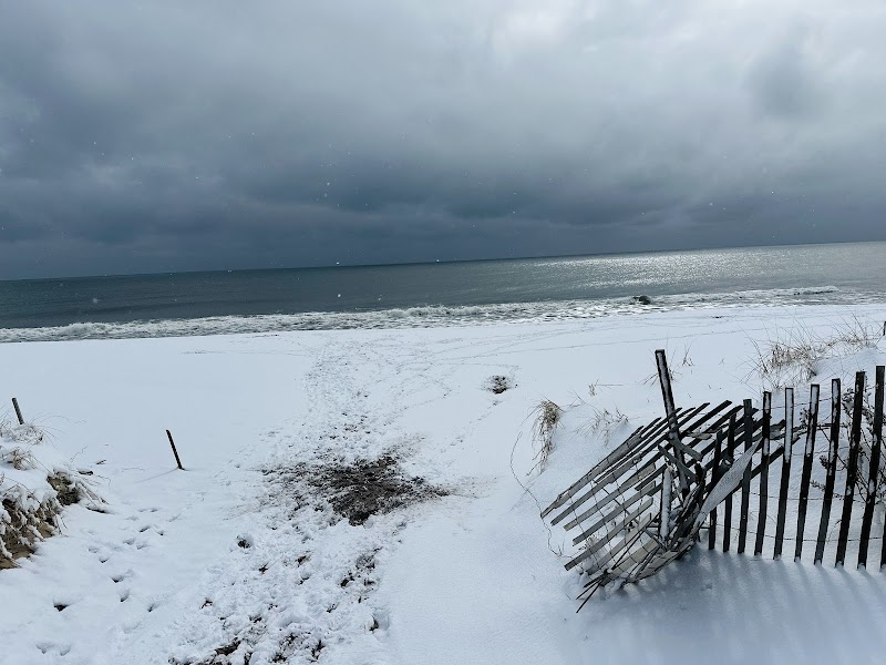 Smith Point Marina County Park photo 5
