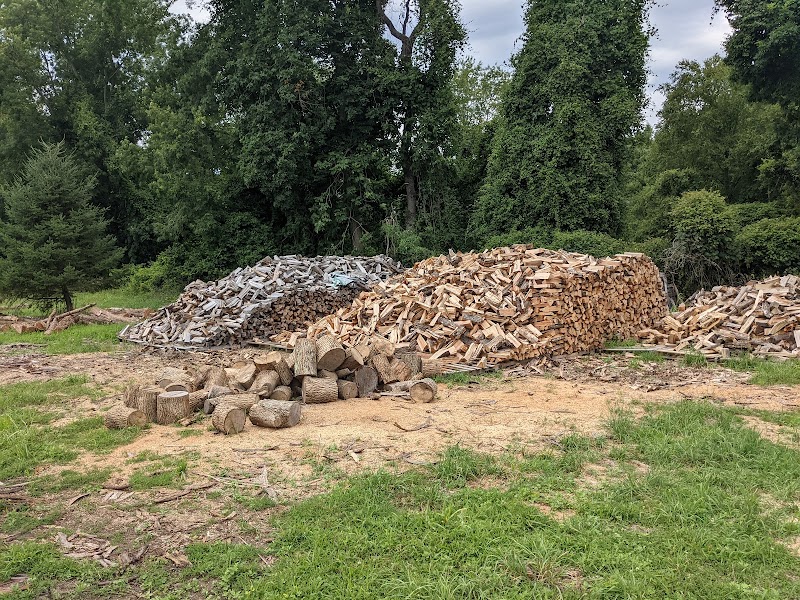 Smith Richardson Wildlife Preserve and Christmas Tree Farm photo 4