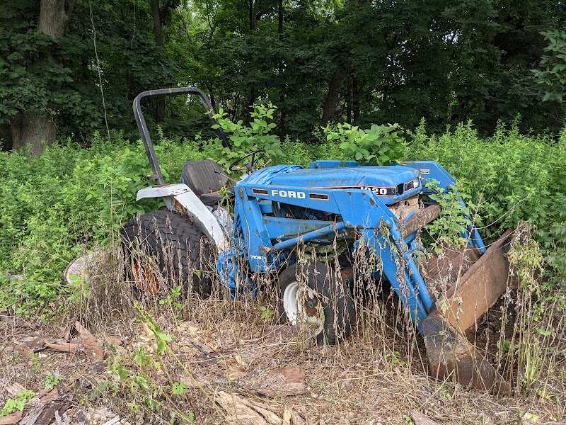 Smith Richardson Wildlife Preserve and Christmas Tree Farm photo 5