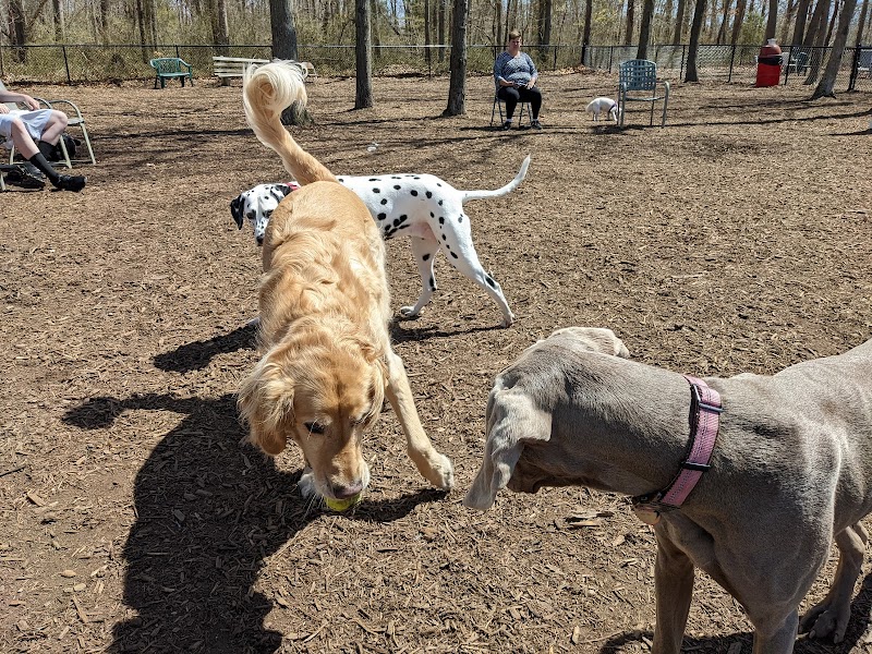Smithtown Nesconset Dog Park photo 3