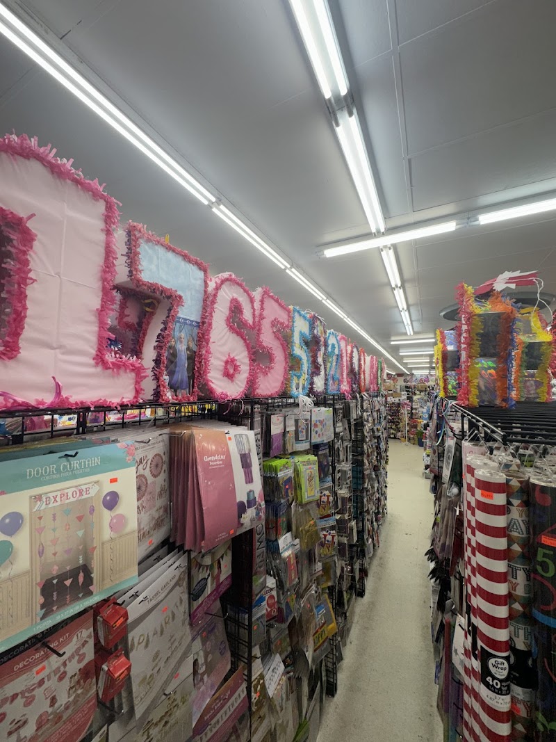 Solo 99 Plus photo 5