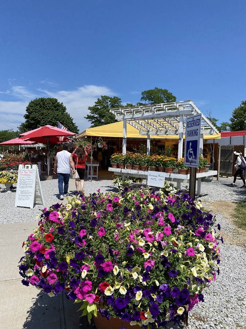 Sound Shore Market photo 2