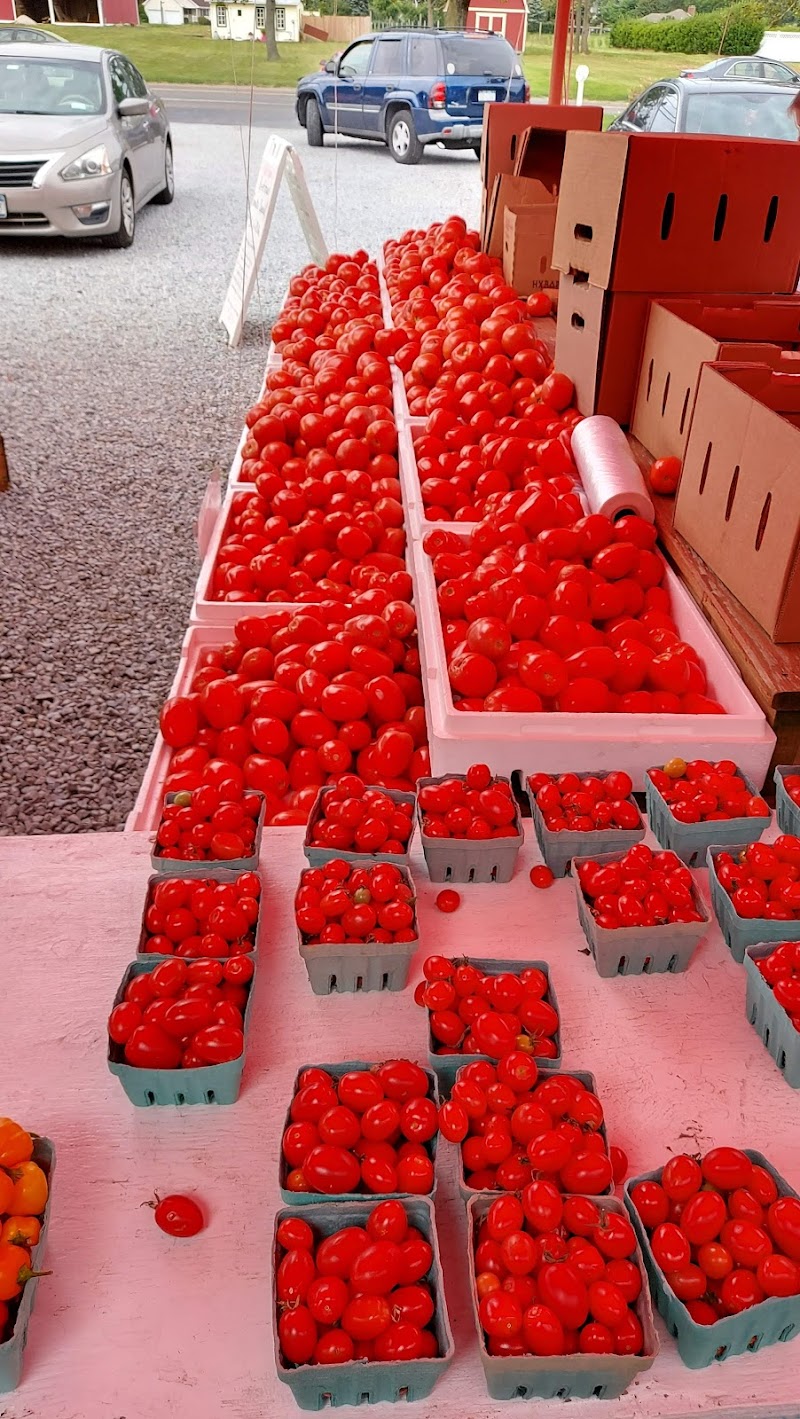 Sound Shore Market photo 3
