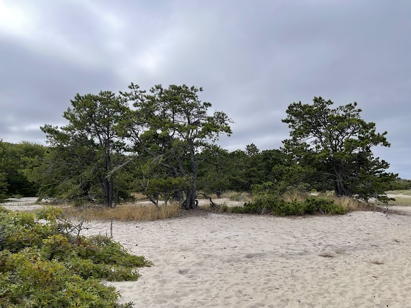 Sound View Dunes Park photo 4