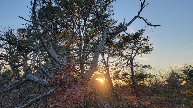 Sound View Dunes Park photo 5