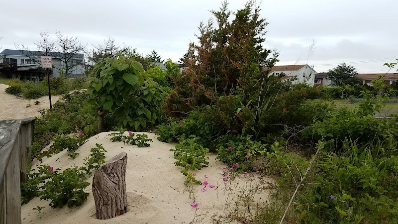 Soundside Beach Park photo 4