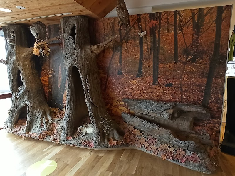 South Fork Natural History Museum & Nature Center photo 1