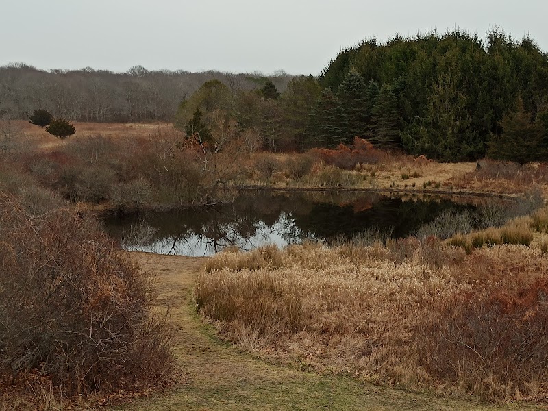 South Fork Natural History Museum & Nature Center photo 3