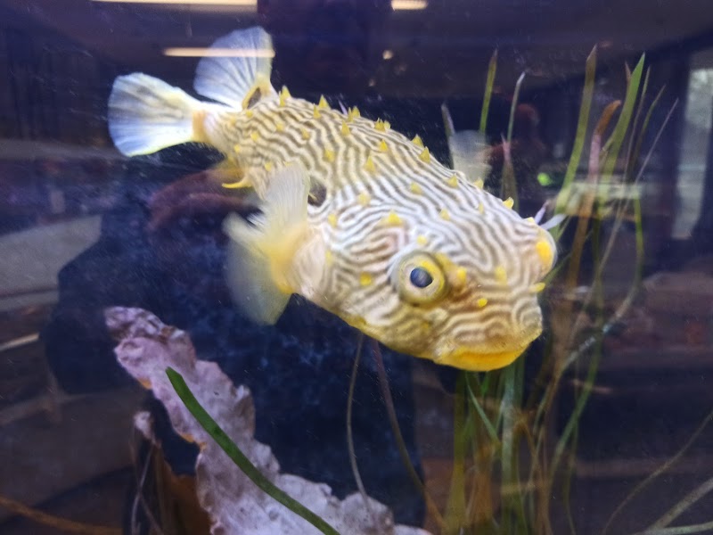 South Fork Natural History Museum & Nature Center photo 4