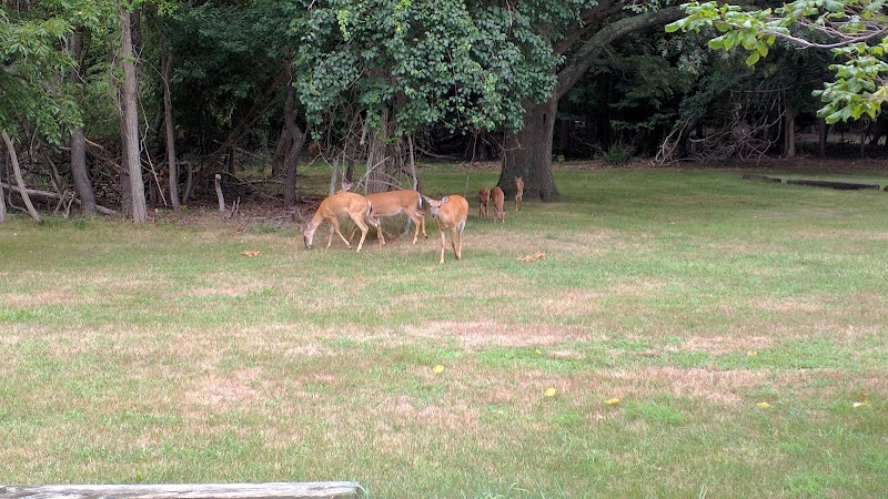South Shore Nature Center photo 2