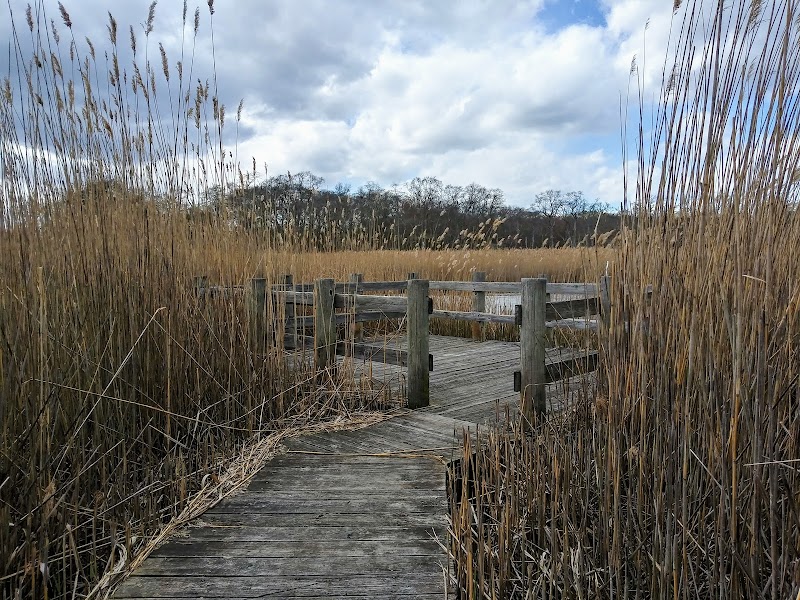 South Shore Nature Center photo 3