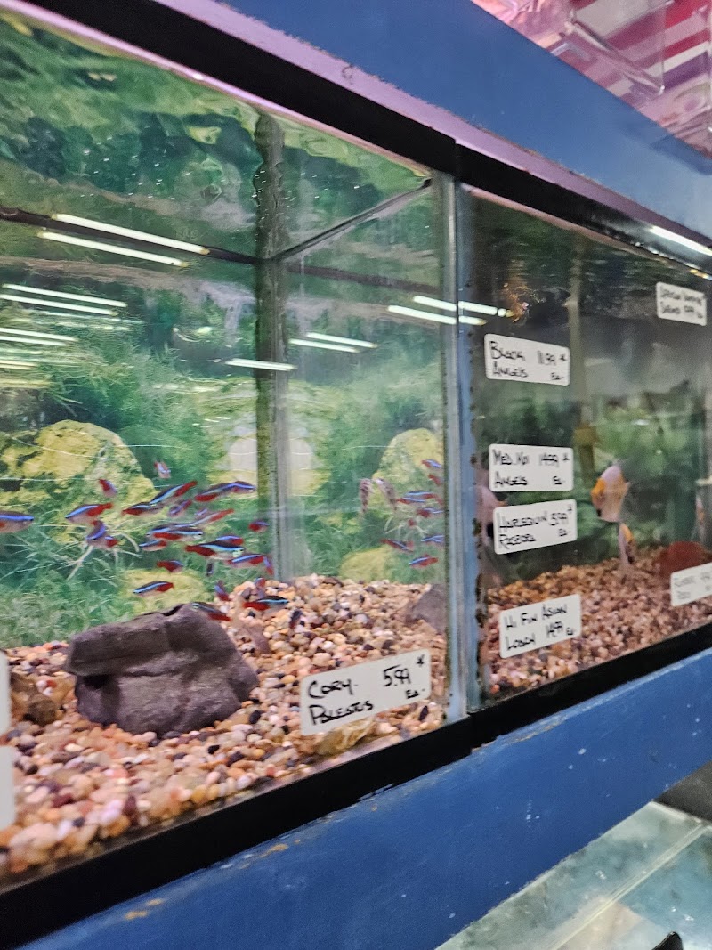 South Shore Tropicals photo 1
