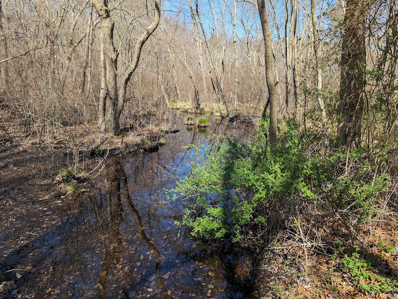 Southards Pond Park photo 4