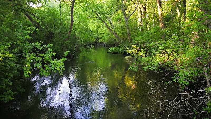 Southards Pond Park photo 5